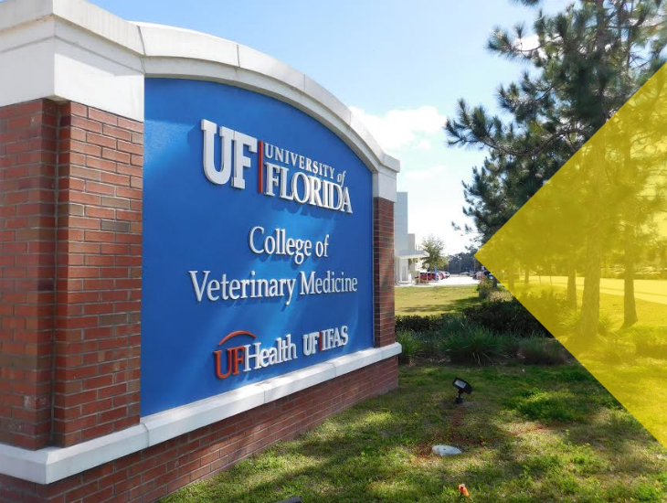 Case study | University of Florida College of Veterinary Medicine